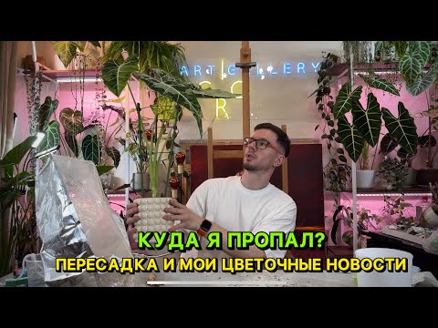 Видео: Куда я пропал? Цветочные новости. Пересадка