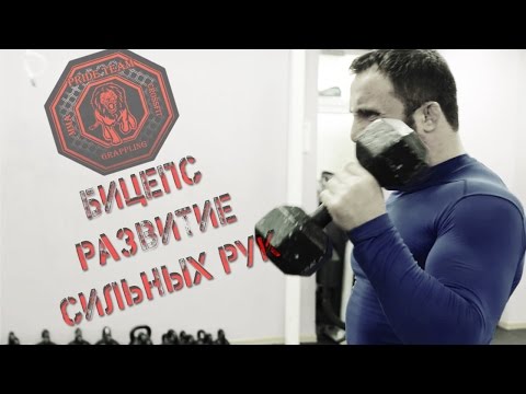 Видео: Бицепс. Развитие Сильных Рук от Pride Team.