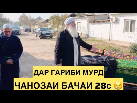 Видео: ДАР ГАРИБИ МУРД ЧАНОЗАИ БАЧАИ 28 Мавлави Бохтари 2025