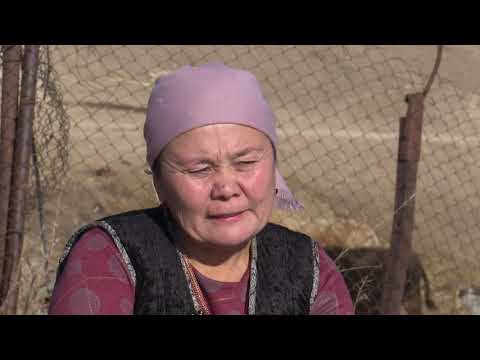 Видео: Асылзат эмгекчил эже гузия