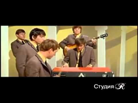 Видео: Animals-(постой паровоз)