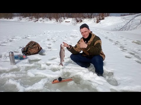 Видео: Рыбалка на подсекайку.