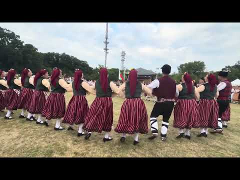 Видео: ФТК 7/8 гр. Добрич 🌾🌾🌾”Бялата жътва” гр. Тервел