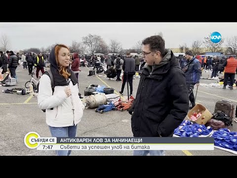 Видео: Антикварен лов за начинаещи: Съвети за успешен улов на битака - Събуди се...(02.03.2025)