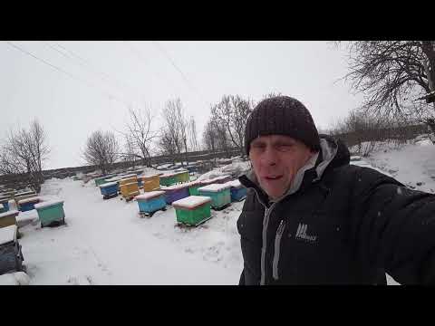 Видео: ВЫБИВАЕМ ПЕРГУ ИЗ ПЕРГОВЫХ РАМОК.