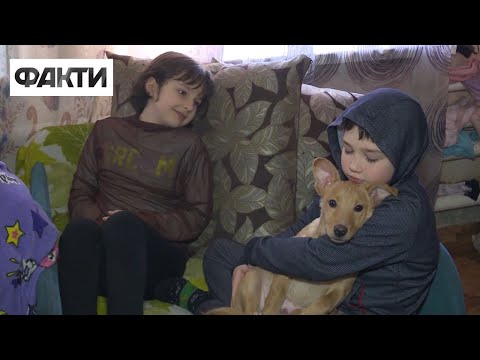 Видео: Демографический бум. Как волонтеры оживили село Бригадировка