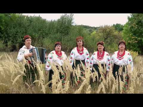 Видео: Сину, ти давно не був у мами