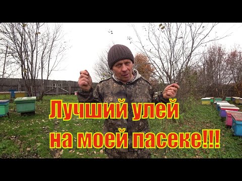 Видео: САМЫЙ ЛУЧШИЙ УЛЕЙ НА МОЕЙ ПАСЕКЕ, КОНСТРУКЦИИ УЛЬЕВ ИХ ПЛЮСЫ И МИНУСЫ