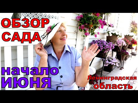 Видео: Мой маленький рай зацветает. Обзор сада начало июня. Убытки почти не заметны