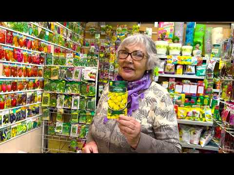 Видео: КАКИЕ СЕМЕНА ВЫБРАТЬ ДЛЯ ПОСАДКИ В 2024 ГОДУ???