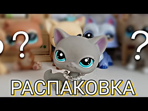 Видео: LPS：распаковка #2🌱☁