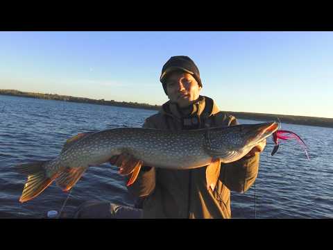 Видео: ПЕРВЫЙ ЛЁД ЖДУ ТУТ! КЛЮЁТ КУДА НЕ КИНЬ! КЛЫКАСТОЕ БЕЗУМИЕ ПРОДОЛЖАЕТСЯ