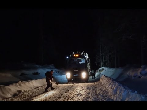 Видео: Командировка. 4 дня в лесу. #лесовоз #маз #рейс