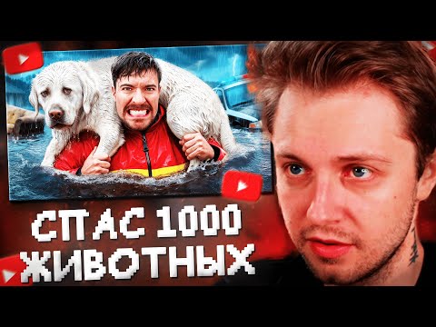 Видео: СТИНТ СМОТРИТ: Я Спас 1000 Животных От Смерти