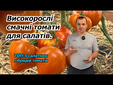 Видео: Салатні, дуже смачні високорослі томати- ТОП-5. Огляд салатних томатів.