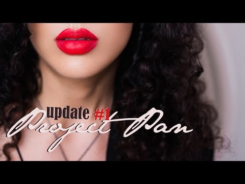 Видео: PROJECT PAN 2017 Update#1 | Использовать и Выбросить