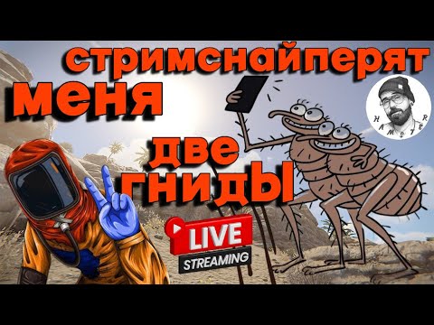 Видео: Rust/раст - меня стримснайперят