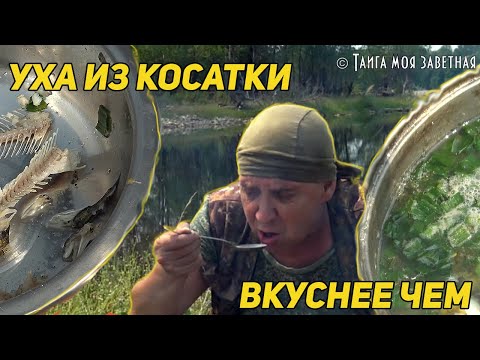 Видео: ТРАДИЦИОННАЯ УХА ИЗ КОСАТКИ. ВКУСНЕЕ ЧЕМ ...