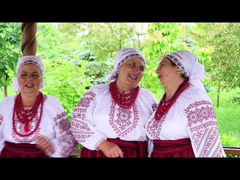 Видео: "А в саду калина розквітає". Народний аматорський фольклорний гурт "Родичі", м. Ладижин