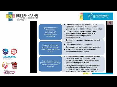 Видео: Гальцова М. С. Профилактика стрессов различной этиологии в птицеводстве.