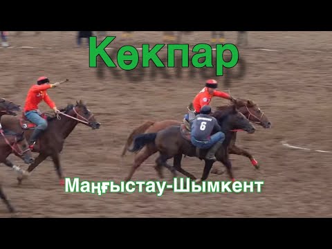 Видео: Көкпар. Маңғыстау-Шымкен