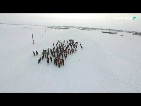 Видео: Изенді ауылы, Нұра ауданы