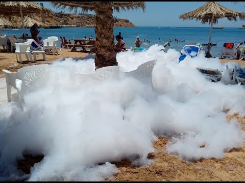 Видео: Египет SETI SHARM RESORT 4*  ПЛЯЖ и Анимация Июнь 2023
