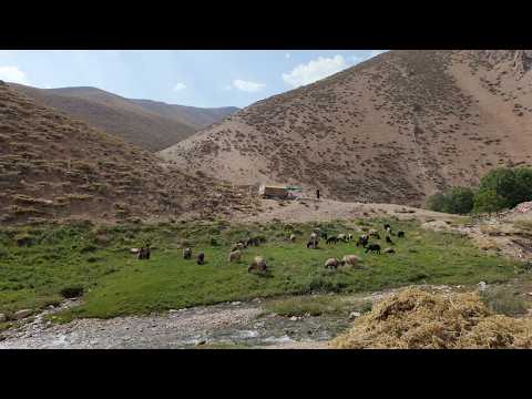Видео: Тяжелая жизнь кочевников гор Загрос вдали от цивилизации