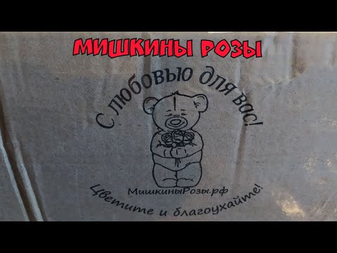 Видео: Посылка с розами из питомника " Мишкины Розы" 19.04.21г.