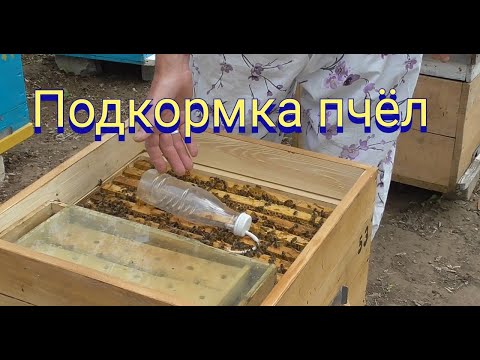 Видео: Стимулирующая подкормка пчёл . Как подкормить пчёл.