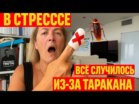 Видео: ПЕС МЕНЯ ПОКУСАЛ ! БОЮСЬ К НЕМУ ПОДХОДИТЬ.БАРДАК ПОСТОЯННО ! БОРЩ .ГОЛОВНАЯ БОЛЬ О СОБАКЕ НЕТ ОТДЫХА
