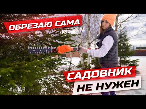 Видео: Формирую кроны берез аккумуляторным кусторезом, неужели это так легко делать? Daewoo daht 1212 Li