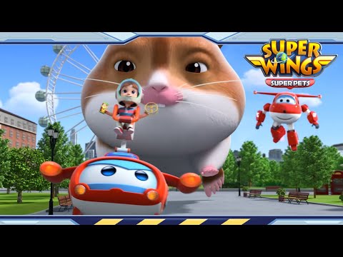 Видео: Катастрофа хомяка | Супер крылья 5 сезон | Супер крылья супер питомцы | Эп25