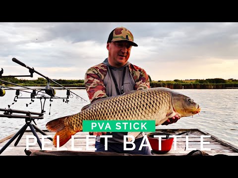 Видео: Що покласти в стік в розпал сезону? Pellet battle, krill vs carp vs halibut vs all season