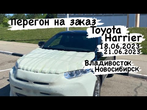Видео: Перегон на заказ из Владивостока в Новосибирск Toyota Harrier 2019 год