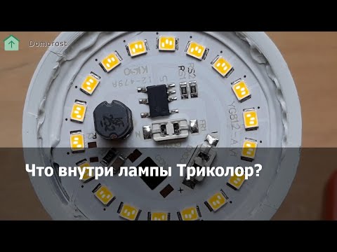Видео: Что внутри лампы Триколор 15W E27