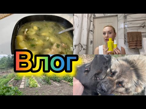 Видео: Влог// Обзор на уход за лицом и волосами/ Мой огород/ Готовлю 😃