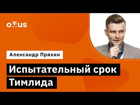 Видео: Испытательный срок Тимлида // Демо-занятие курса «Team Lead»
