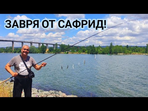 Видео: Сафридът направо полудя! По два, по три, по пет -  шест наведнъж! Почти напълнихме една бака!
