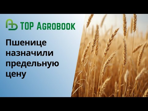 Видео: Пшенице назначили предельную цену | TOP Agrobook: обзор аграрных новостей