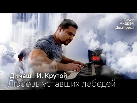 Видео: Любовь уставших лебедей. Димаш.  И.  Крутой.  (Cover - Андрей Дехтярёв)