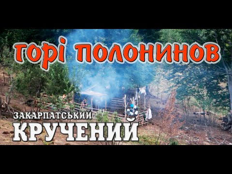 Видео: Сколомийка Лисичанська✔️За сивими воликати, горі полонинов 💯Закарпатські коломийки 👍🔔 #коломийка