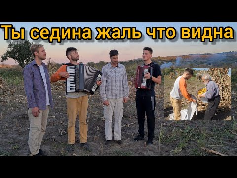 Видео: Ты,седина,жаль,что видна. "Быстро,очень быстро дни бегут".