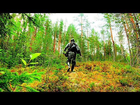 Видео: РЫБАК ЗАШЕЛ В ЛЕС НАШЕЛ ОЗЕРО И ОБАЛДЕЛ! РЫБАЛКА В АВГУСТЕ 2025. ПОЙМАЛ РЫБУ И ПРИГОТОВИЛ