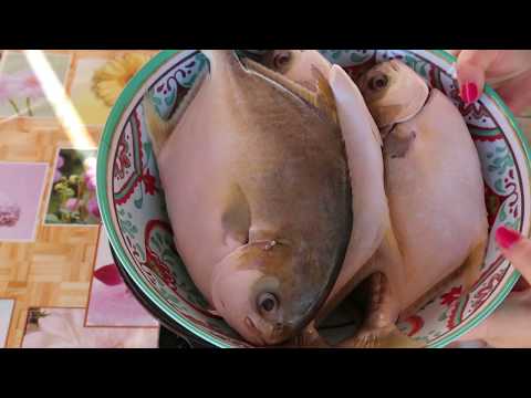 Видео: #жареная рыба #Рыба Помпано, как приготовить