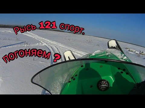 Видео: Снегоход рысь 121. Часть 1.