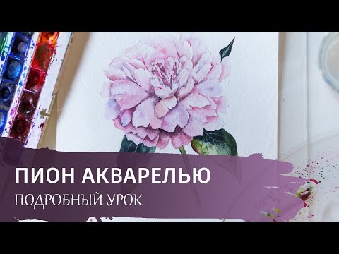 Видео: Рисуем пион акварелью. Бесплатный онлайн урок.