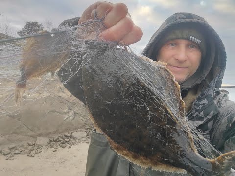 Видео: Идущий по Воде! Сегодня поймалась Крупная рыба.Пришлось прятать под скалу!