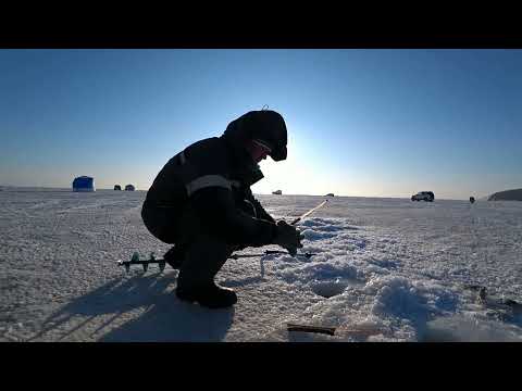 Видео: Адский клёв в -25  !!!! Гламурные блёсна которые ловят !!!Берите на заметку ! Владивосток 27.01.2023