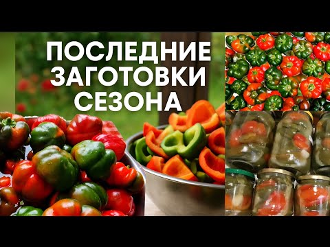 Видео: «Консервный завод закрывается 😅 Мариную гагашары и готовлю ужин»